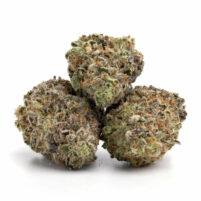 Amnesia Haze